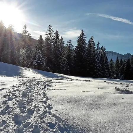 Bergliebe Nesselwang